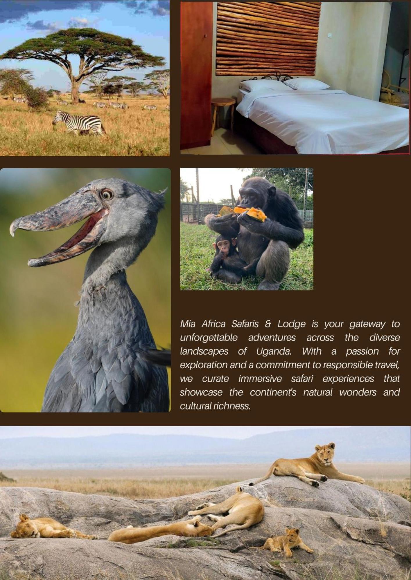 Mia Safari Lodge And Restaurant Entebbe Exteriör bild